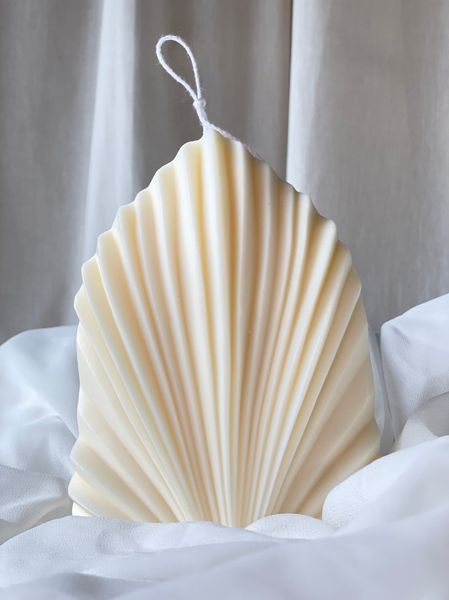 Whispers of Grace- Coral Shell