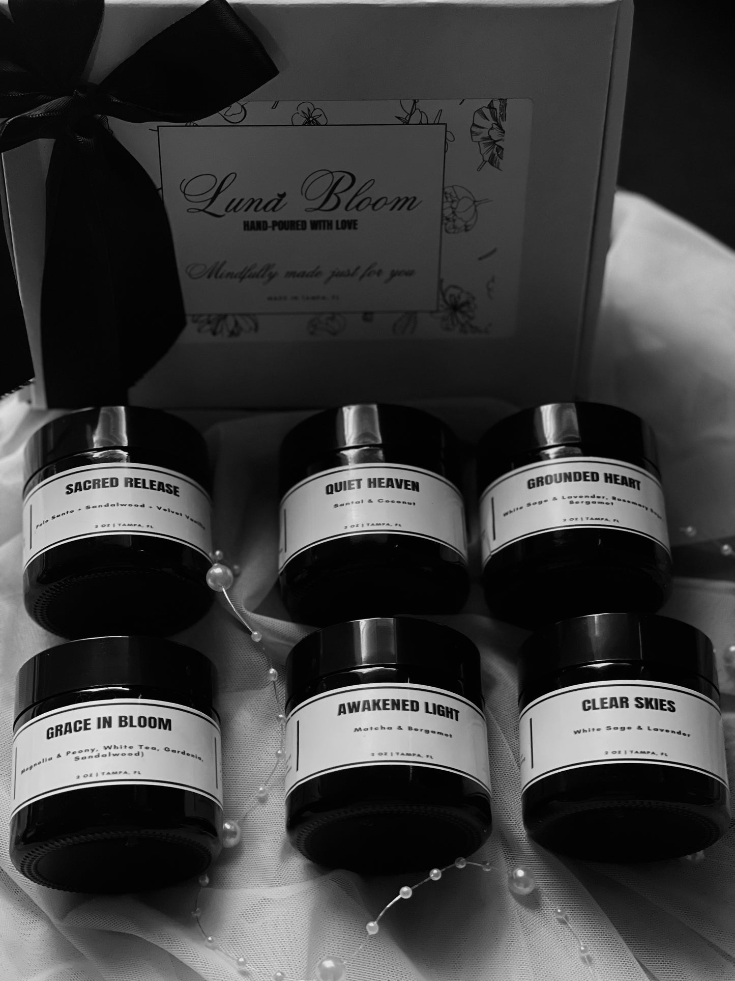 The Luna Discovery Set