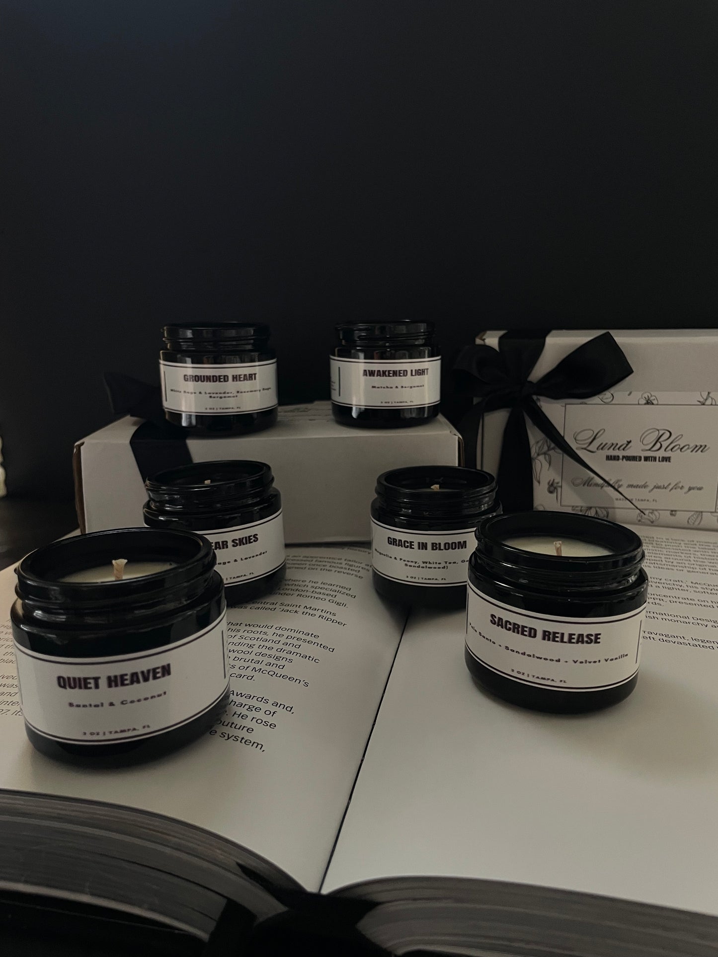 The Luna Discovery Set