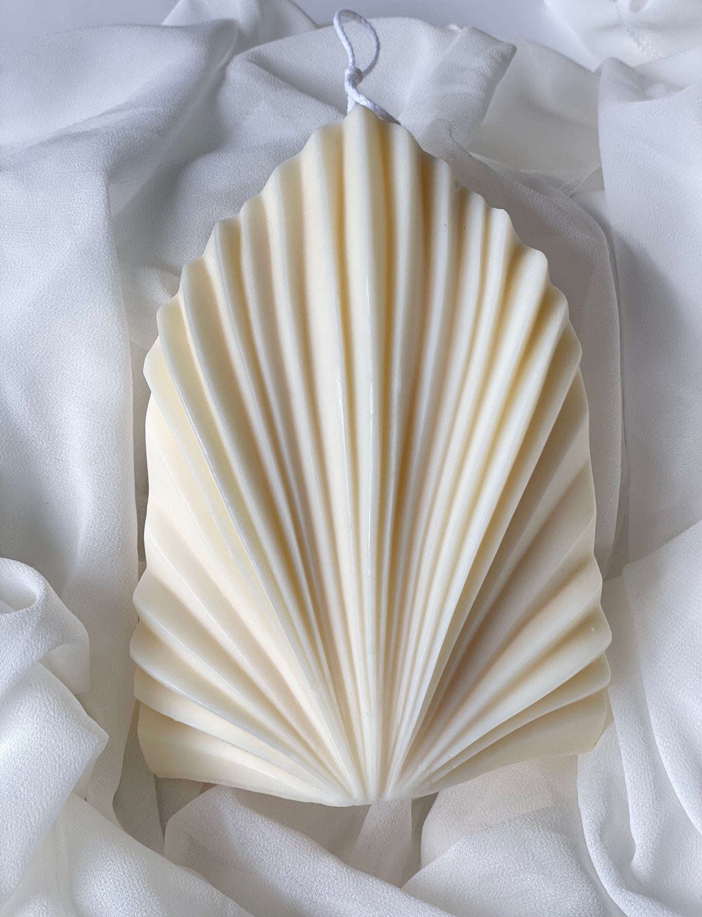 Whispers of Grace- Coral Shell