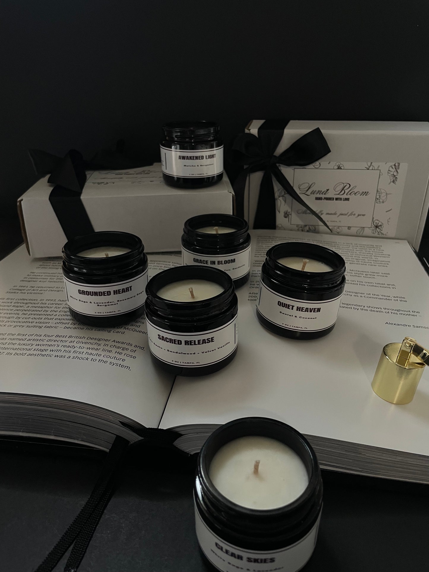 The Luna Discovery Set